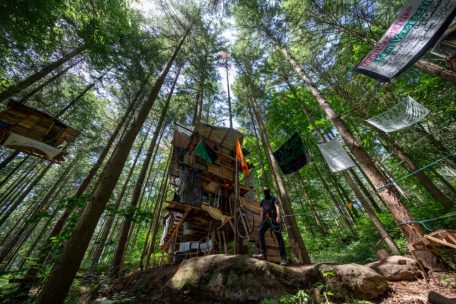Herzstück des Camps mit knapp zehn Hütten und Häusern ist ein großes dreigeschossiges Baumhaus auf Stelzen