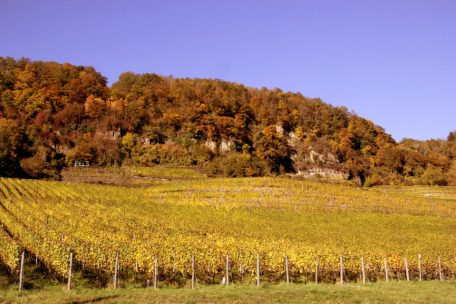 Indian Summer an der Mosel: Wie abwechslungsreich die Landschaft an der Luxemburger Mosel ist, zeigt die Route „Iter vitis“, die auch durch Luxemburg führt