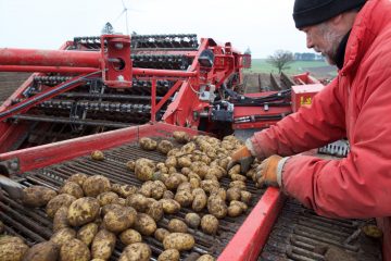 Agrarsektor / Tripartite-Geldsegen für Luxemburgs Landwirte? Entscheidung fällt im Herbst