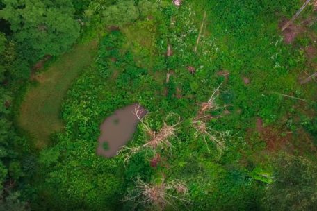 Wandern durch das Naturschutzgebiet „Lamert“ bei Schwebsingen