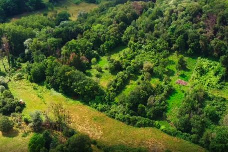 Der Wanderweg rund um das Naturschutzgebiet „Lammert“ bei Schwebsingen eignet sich mit einer Länge von rund 22 Kilometern für geübte Wanderer