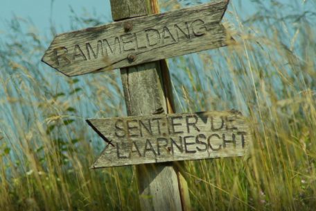 Die Route durch das Naturschutzgebiet „Aarnescht“ bei Oberanven führt über rund 5 Kilometer und eignet sich auch für ungeübte Wanderer