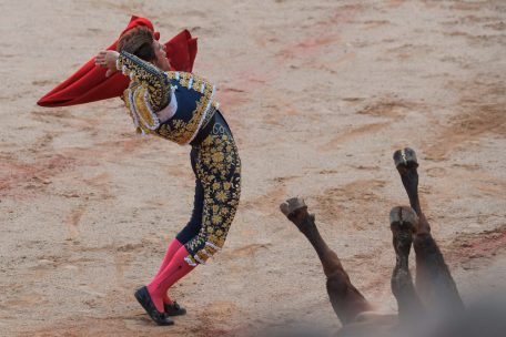 Nach dem Auftritt werden die Stiere&nbsp; in Pamplonas vollbesetzter Arena vor den Augen von 20.000 Zuschauern von professionellen Toreros get&ouml;tet