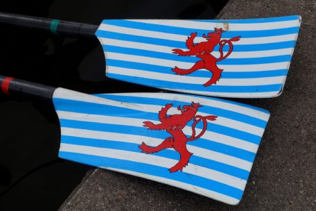 Da soll noch einer sagen, der Löwe sei wasserscheu