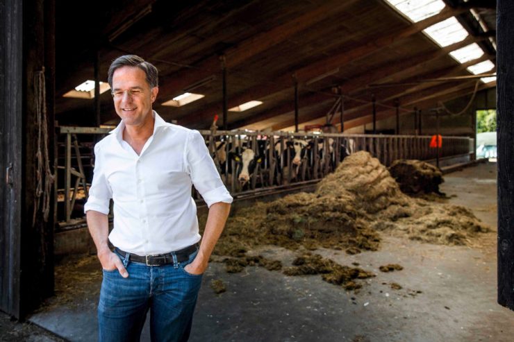 Niederlande / Blockaden, Brände, Barrikaden: Bauern wegen Umweltauflagen im Aufstand