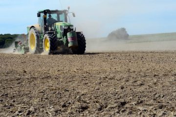 Landwirtschaft / „Die Dürre wird sich weiter verschärfen“: Die Hitzeblase erreicht am Montag Luxemburg