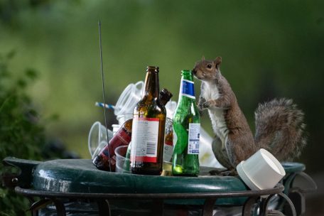 Wissen / Finger weg vom Alkohol: Studie empfiehlt unter 40-Jährigen Verzicht