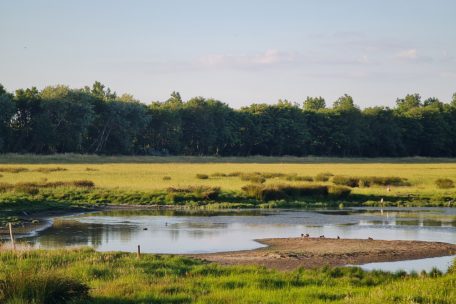 Geheimtipp für den Belgien-Urlaub / Zeebos Blankenberge bietet Entspannung mitten in der Natur