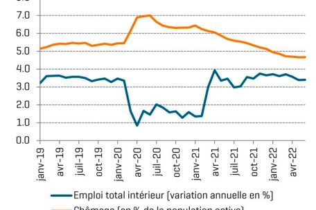 Die Entwicklung der Arbeitslosenquote und das Wachstum der Besch&auml;ftigung