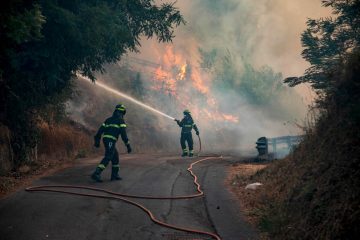 Flucht vor Feuern / Extreme Hitze facht Waldbrände in südeuropäischen Ländern an