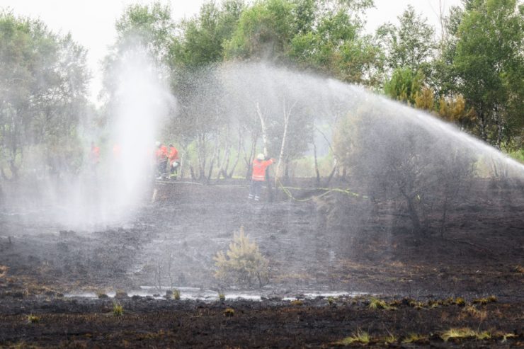 Festnahme / Ein Feuerwehrmann soll Brände bei Reinsfeld gelegt haben