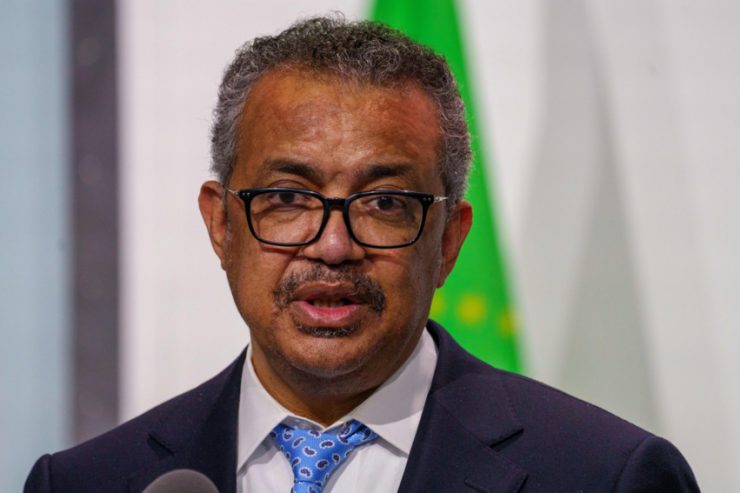 Höchste Alarmstufe / WHO erklärt Affenpocken-Ausbruch zur internationalen Notlage