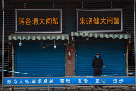 Corona-Pandemie / Neue Studien: Tiermarkt in Wuhan war Ausgangspunkt