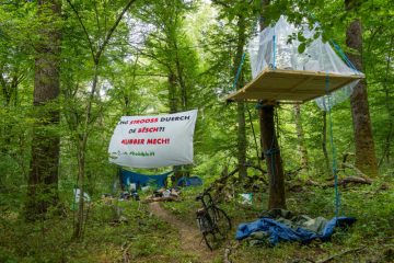 Editorial / Warum Protest gut ist: Zur Umgehungsstraße Bascharage-Sanem