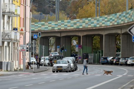 Mouvement écologique / Grünflächen in Luxemburgs Innenstädten: „Müssen ein neues Gleichgewicht finden“