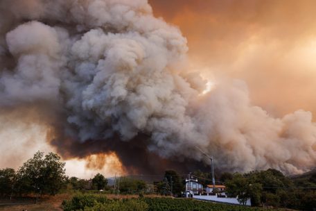 Blick, von Rupa aus gesehen, auf dichte Rauchwolken eines Waldbrandes an der Grenze zwischen Miren und Nordostitalien. Mehr als tausend Feuerwehrleute bekämpften mit Luftunterstützung durch ein kroatisches Canadair-Löschflugzeug, drei slowenische Hubschrauber, einen österreichischen Hubschrauber und ein Pilatus PC-9-Flugzeug der slowenischen Armee einen großen Waldbrand.