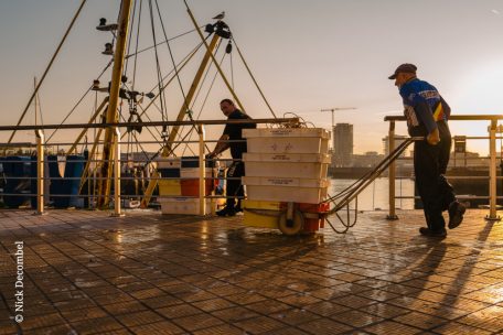 Morgens kommen die Küstenfischer mit ihrem frischen Krabbenfang im Hafen von Ostende an