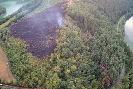 Das Areal nach dem Waldbrand bei Böwen