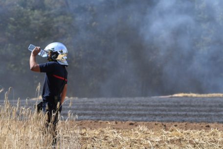 Damit es nicht zu einem Wald- oder Wiesenbrand, wie hier 2019 bei Hamm, kommt, können alle mithelfen, indem sie einfache Regeln beherzigen