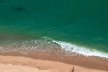 Entlang der Küste von Cape Cod wurden in den letzten Wochen gleich mehrere Haie gesichtet