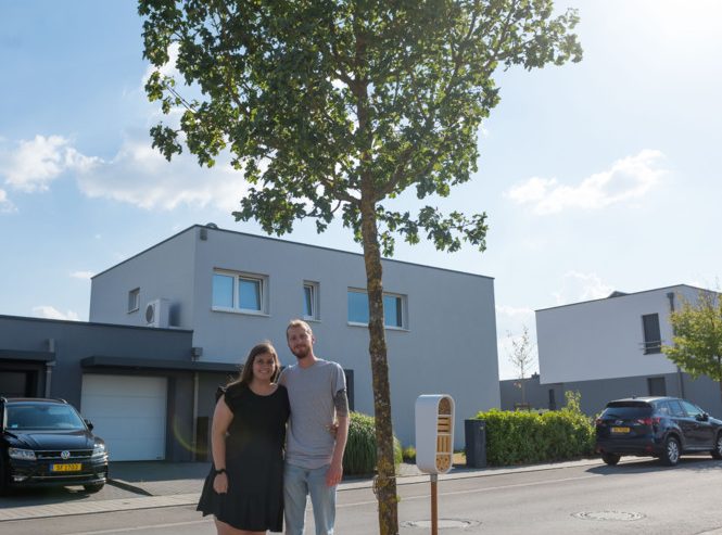 Düdelingen / Nicht nur für die Bienen: Baumpaten verschönern Straßeninseln