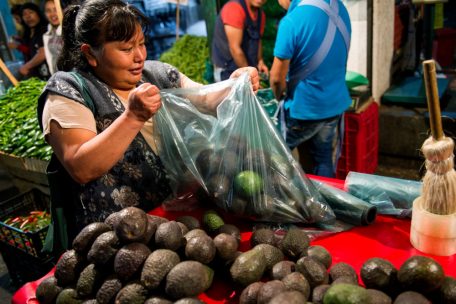 Editorial / Avocados: Gesund, aber umweltschädlich