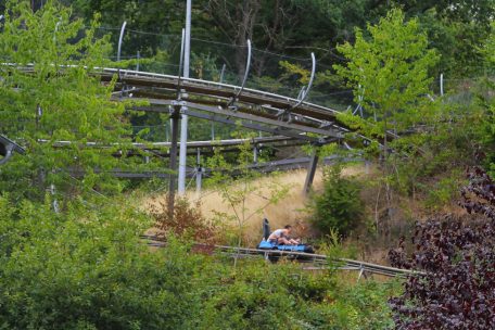 Rasante Fahrt auf der 1.170 m langen Allwetter-Rodelbahn