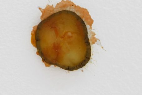 F&uuml;r sein Werk verlangt Griffin umgerechnet rund 6.150 Euro