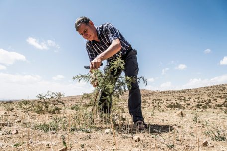 Klimawandel/Umwelt / Filmkritik: Der „Waldmacher“ 