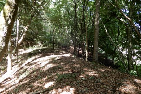 Den Berghang hinab fuhr die Tram in Richtung Kayl
