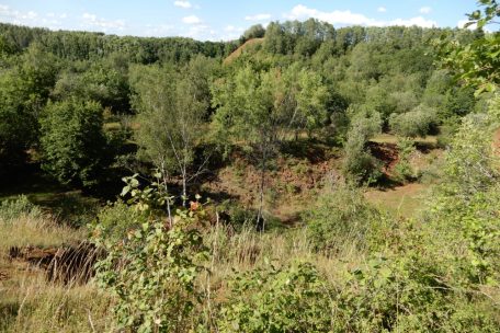 Die einstige Mondlandschaft wurde inzwischen wieder von der Natur zurückerobert. Das Foto zeigt in etwa die gleiche Sicht, wie sie im Aufmacherbild zu sehen ist.