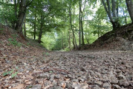 Vor dem „Kayler Poteau“ verläuft der Fußweg über die Schlacken der Tram-Trasse