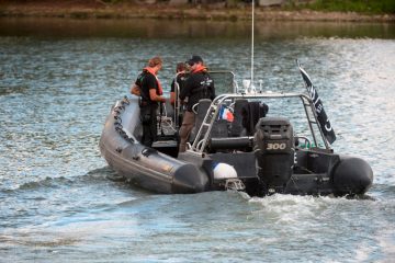 Überraschende Sichtung / Beluga-Wal in der Seine ist „abgemagert“ und leidet unter Hautveränderungen