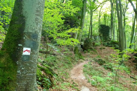 Ein rotes M ist auf 112 Kilometern durchs Müllerthal ein treuer Begleiter