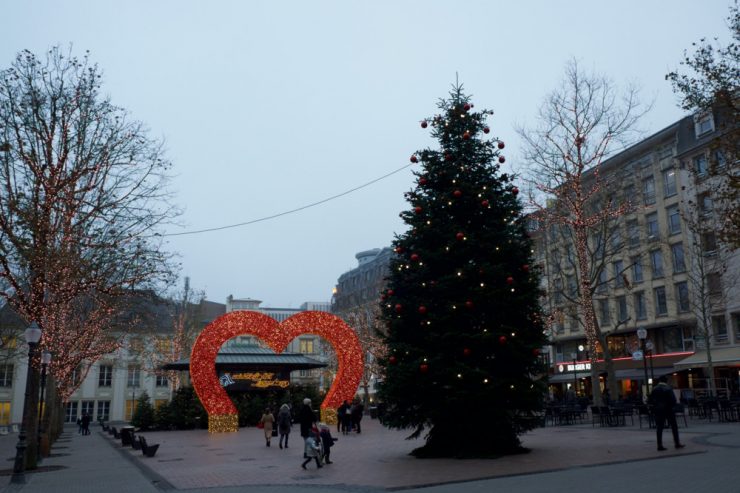 Aufruf / Luxemburg-Stadt sucht nach großen Weihnachtsbäumen – und kommt sie selbst fällen