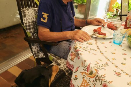 Die vierbeinigen Gäste geben die Hoffnung nicht auf …