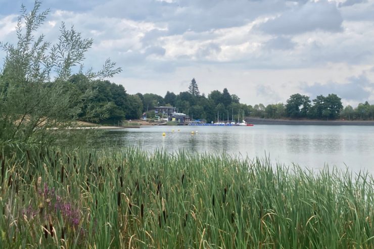 Saarland / Der Losheimer See bietet lauschige Plätze und Camping 2.0