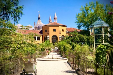 Der „Orto botanico“ von Padova: 1545 von der Republik Venedig gegründet, gilt er als ältester botanischer Garten der Welt