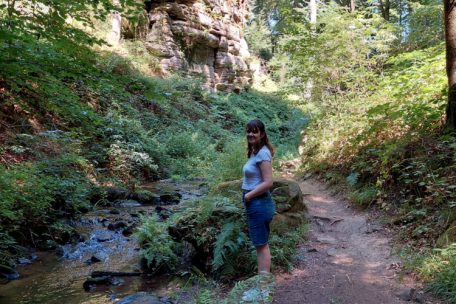 Bei der Wanderung durch den Wald kann ich meine Batterien wieder aufladen
