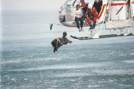 Reef springt vom Heli ins Meer