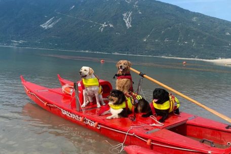 Warten auf den Einsatz am Lago San Guisto