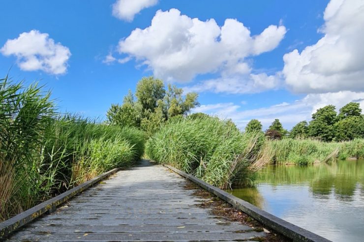 Urlaubstipps (3) / Auf der Linie von Oostburg wird Geschichtsunterricht im Naturschutzgebiet geboten