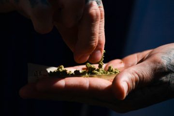 THC-Werte im Straßenverkehr / Mit „null Toleranz“ und doppelten Standards bleibt die Legalisierung für viele Cannabis-Freunde sinnfrei 