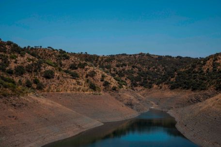 Spanien / Avocados, Oliven und Getreide: Im Dürre-Drama drohen den Landwirten Rekordausfälle