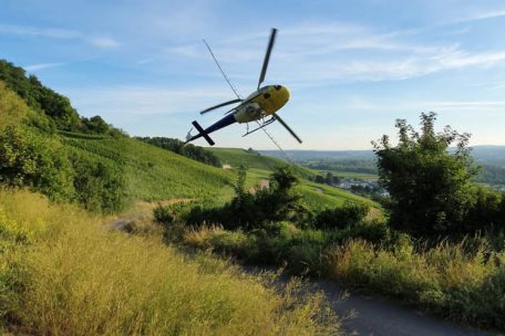 Aus der Luft dürfen nur noch Fungizide verteilt werden
