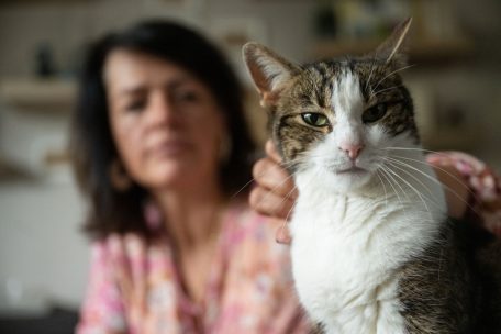 Senioren / Diese Bedürfnisse haben Katzen im Alter