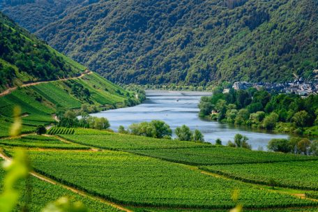 An der Mosel und am Rhein kann man beim Spazierengehen richtig die Natur genießen