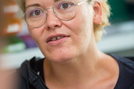 Jennifer Pauwels, die Leiterin des Tierheims, sammelt täglich die gefundenen Katzen ein