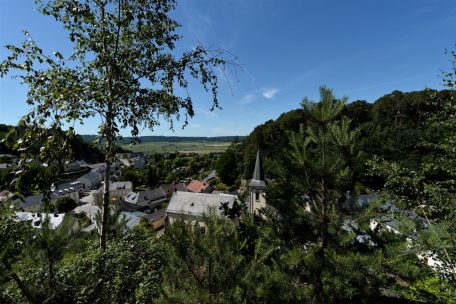 Reine Luft im Wald rund um Burglinster