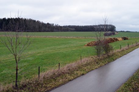 Nicht viel los: Ob Google am Gelände in Bissen (Archivbild) überhaupt noch Interesse hat, ist derzeit unklar wie vieles andere